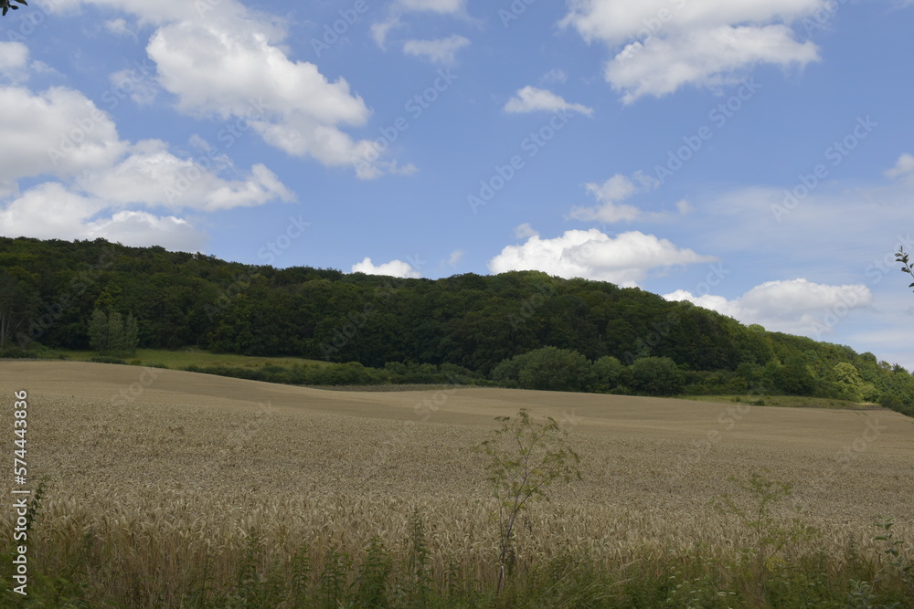 Obraz premium Landschaft bei Bodenwerder