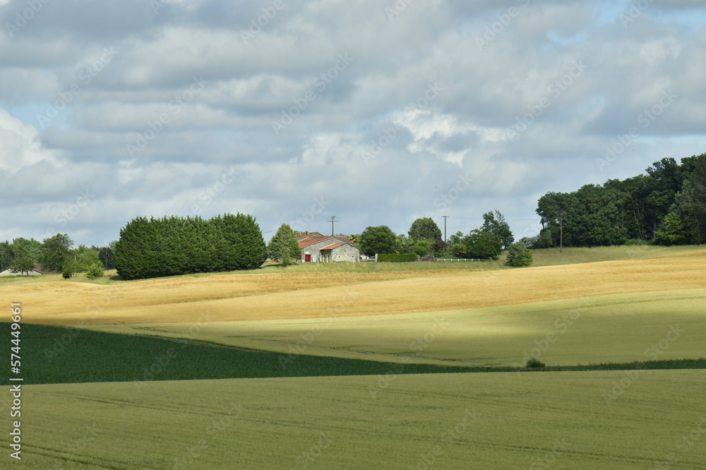 Nuance de couleurs entre les zones d'ombres et ensoleillées sur un champ de blé près d'un des hameaux à champagne-et-Fontaine au Périgord Vert 