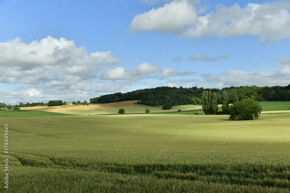 Nuance de couleurs entre les zones d'ombres et ensoleillées sur un champ de blé près d'un des hameaux à champagne-et-Fontaine au Périgord Vert Nuance de couleurs entre les zones d'ombres et ensoleillées sur un champ de blé près d'un des hameaux à champagne-et-Fontaine au Périgord Vert