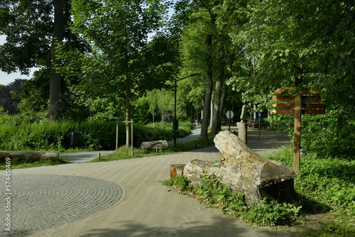 Gros morceau de bois servant de décoration au Vrijbroekpark à Malines  photo