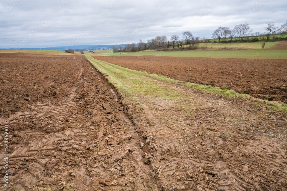 meadow dividing two agricultural fields with soil, agricultural path, during cloudy day meadow dividing two agricultural fields with soil, agricultural path, during cloudy day