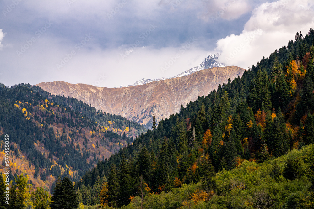 Fototapeta premium Autumn views in the mountains