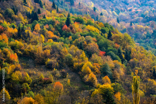 Autumn views in the mountains