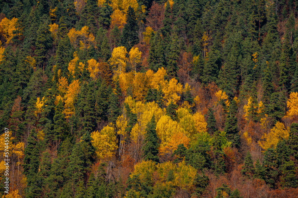Autumn views in the mountains Autumn views in the mountains