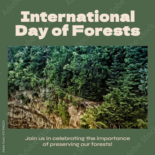 Composition of international day of forest text and trees in forest