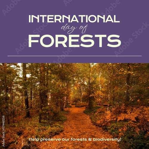 Composition of international day of forests text and trees