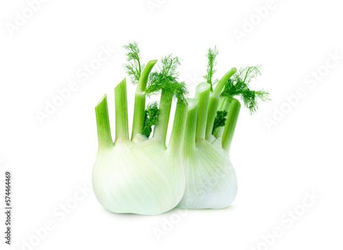 Two Fresh fennel bulbs isolated on white background
