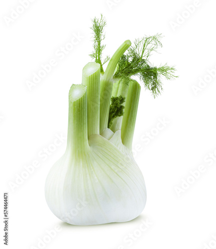 Fresh fennel bulb isolated on a transparent background