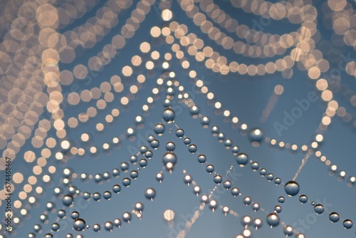 Dew drops on spidrs web 