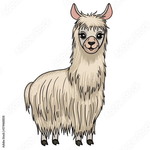 Cute llama vector cartoon drawing. Beige color funny alpaca comic drawing. Isolated animal character. Front view.