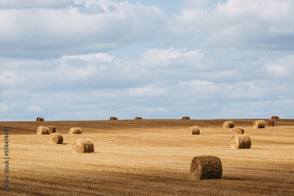 hay bales in the field summertime