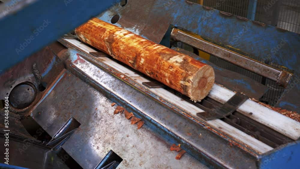 Logs move along a conveyor at a woodworking plant. Sawmill for plywood factory. Logs move along a conveyor at a woodworking plant. Sawmill for plywood factory.
