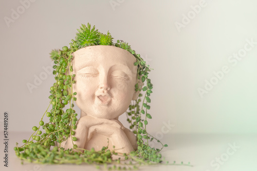 Konstfotografi Sedums and Succulents a pot in the girls head