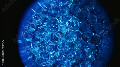 Cell division, formation of morula and embryo. The concept of the ovum. Animation of early embryonic development. Conceptual microbiology in the laboratory. Fertilization.