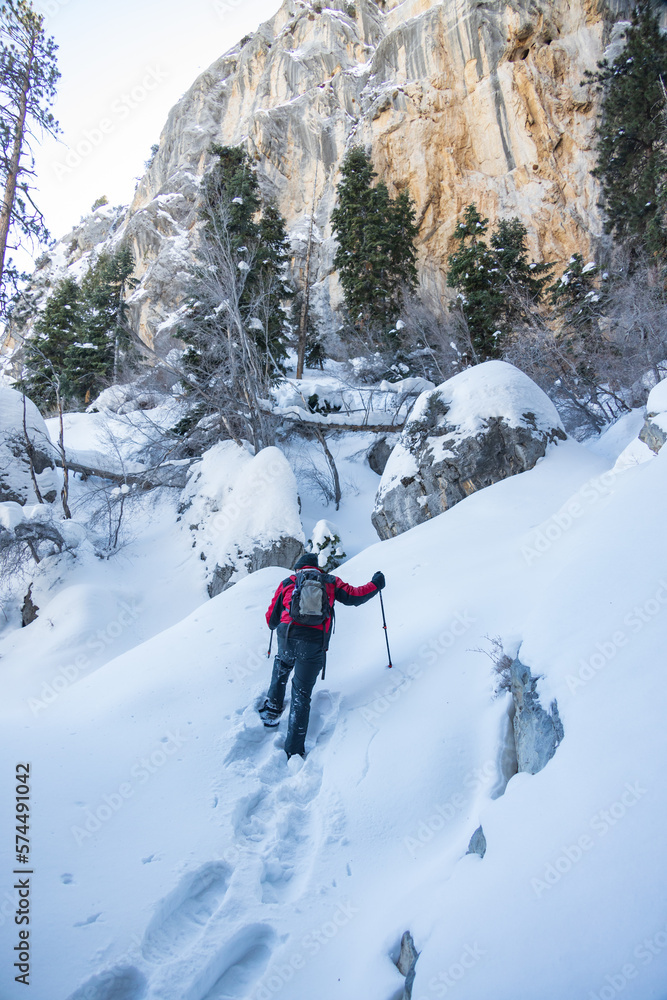 Man snow shoeing in the mountains