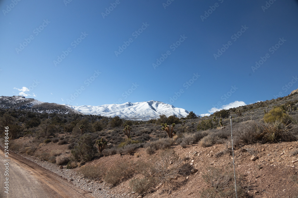 Dirt road and snow covered ground at Spring Mountain National Recreation Area, Nevada
