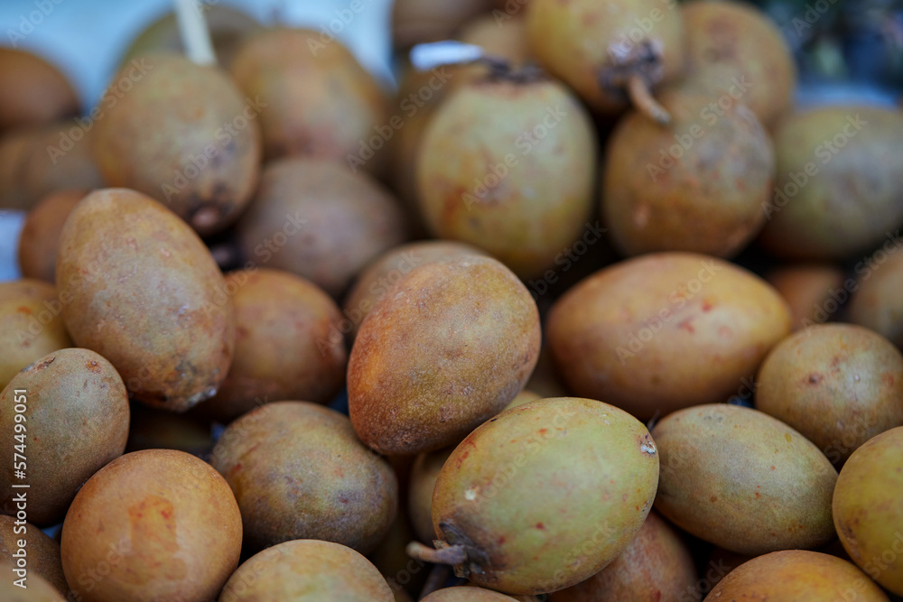 group of fresh Sapodilla or Ciku fruit for sale in market group of fresh Sapodilla or Ciku fruit for sale in market