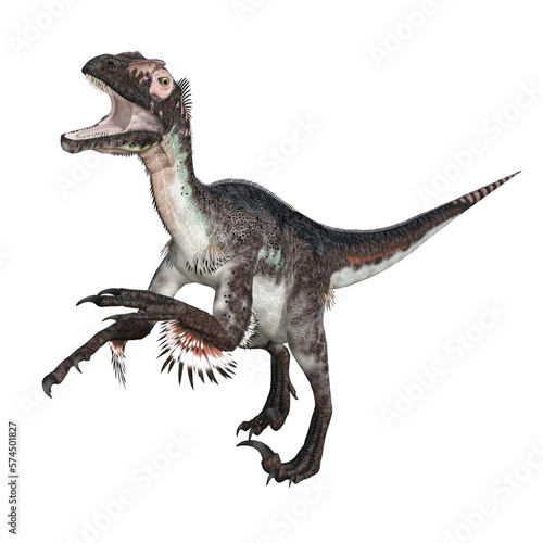 Utahraptor dinosaur isolated 3d render