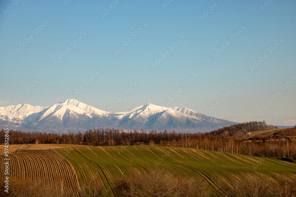 Naklejka premium 春の畑と冠雪の山並み 