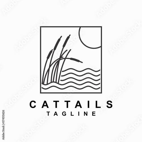cattails plant vector template. reed grass. water plant graphic illustration.
