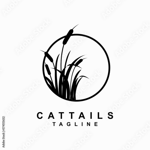 cattails plant vector template. reed grass. water plant graphic illustration.