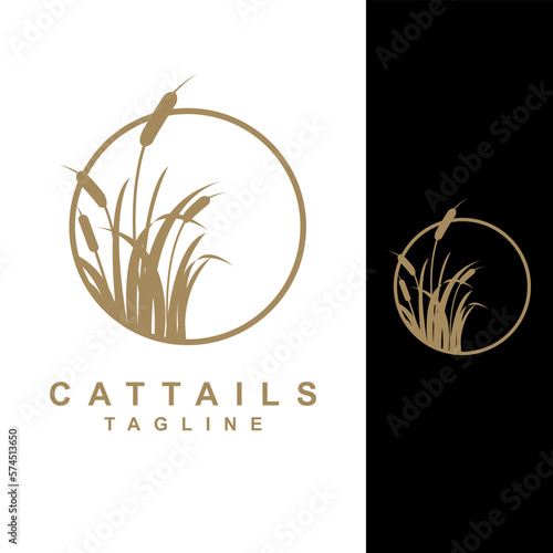 cattails plant vector template. reed grass. water plant graphic illustration.