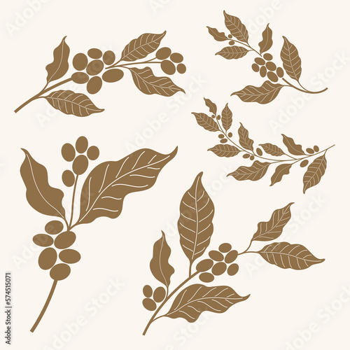 set of coffee bean and leaf