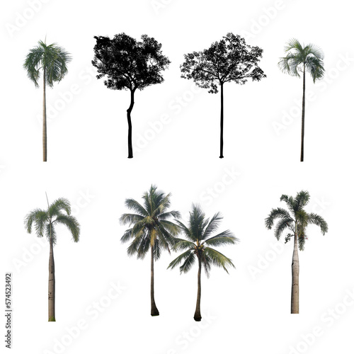 trees collection