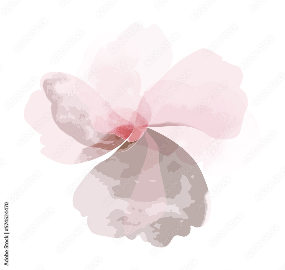 Watercolor spring flower Watercolor spring flower
