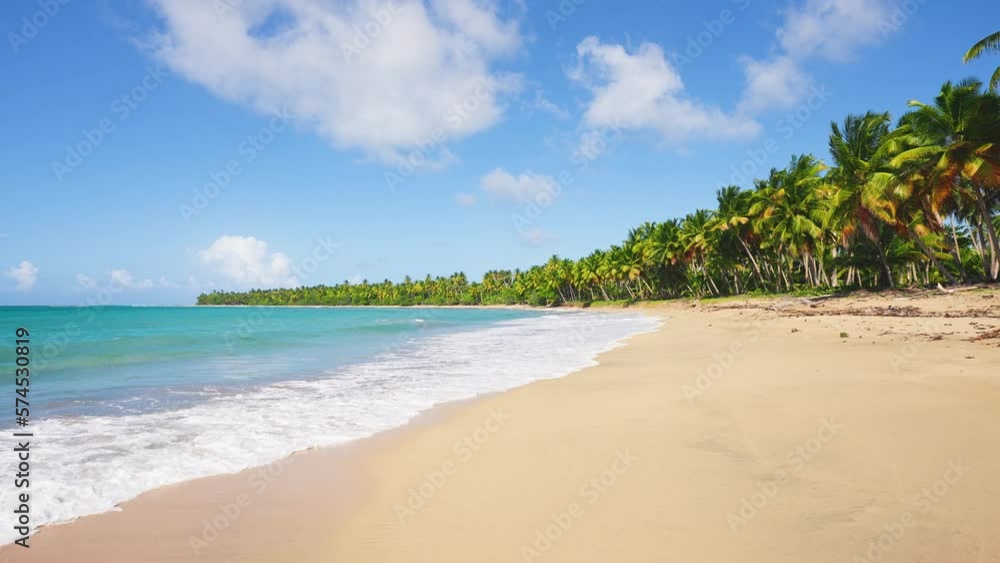 Empty palm beach and tropical sea on a sunny day. Great view of the beach nature of the Bahamas. Exotic seaside landscape with yellow sand and blue sky. Luxury resort background for summer holidays. Empty palm beach and tropical sea on a sunny day. Great view of the beach nature of the Bahamas. Exotic seaside landscape with yellow sand and blue sky. Luxury resort background for summer holidays.