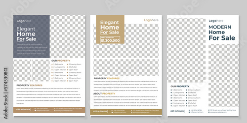 Real Estate Flyer Layout, Real Estate Flyer with Blue Accents Corporate Business Flyer, Flyer Design template, Real Estate Flyer Design bundle, property sale flyer design, flyer design for rent