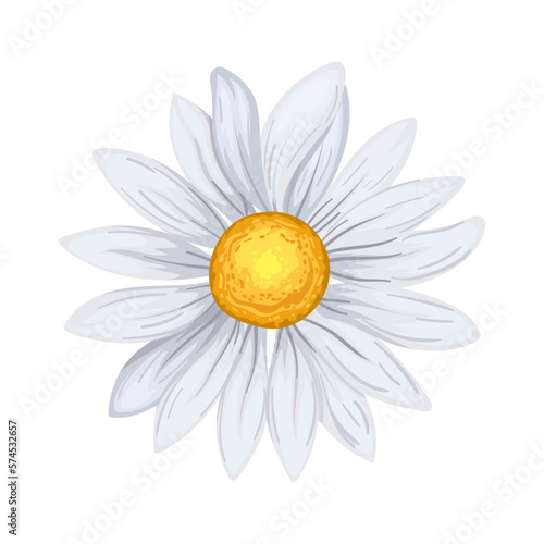 daisy flower summer cartoon vector illustration color sign