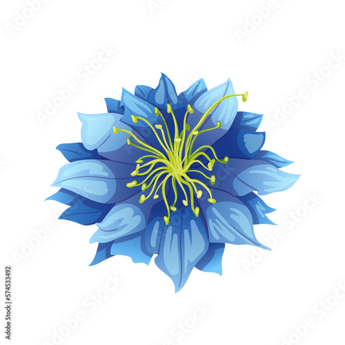 nigella sativa cumin black cartoon vector illustration