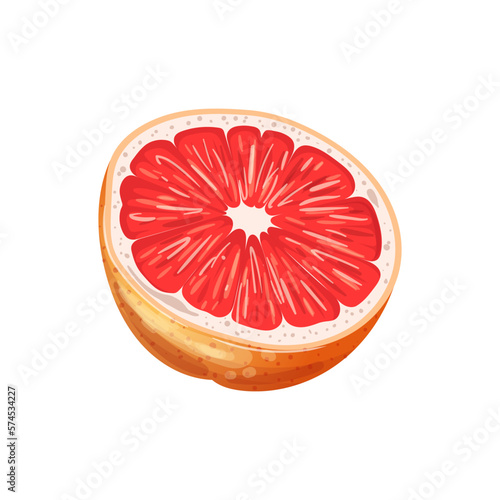 grapefruit fruit cut cartoon vector illustration color