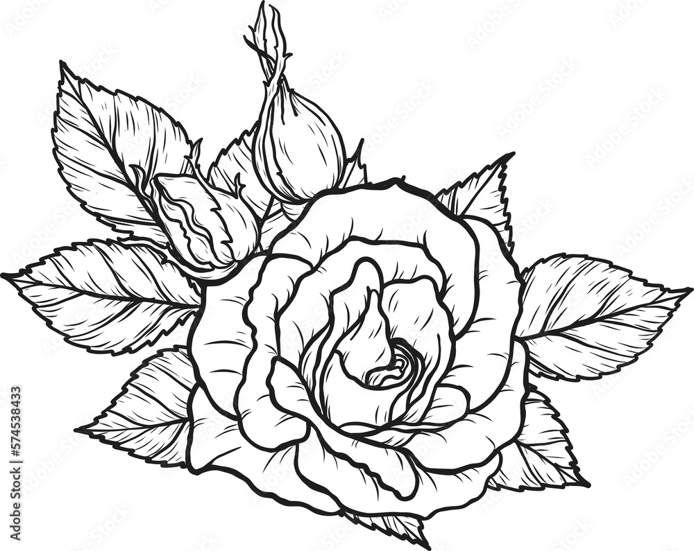 Arthur Bell rose  png.Beautiful flower on transparent background.
