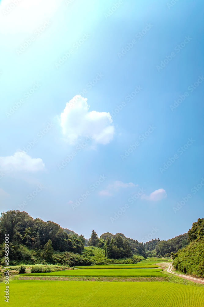 谷間にある稲田の田舎風景。背景素材 谷間にある稲田の田舎風景。背景素材