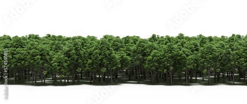 trees in the forest with a shadow on the ground, isolated on transparent background, 3D illustration, cg render