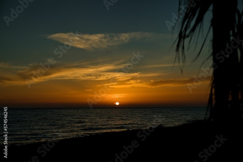 Dramatic sunset at the sea, the sun on the sea horizon, the cloudy sky shines in an intense gold orange, in the foreground in the shade palm leaves.