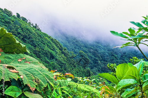 Low clouds in a rainforest valley photo