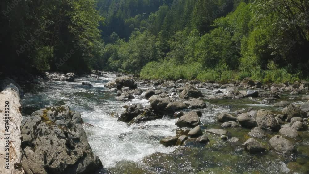 Nature POV with Hands Presenting Scenic River Nature POV with Hands Presenting Scenic River
