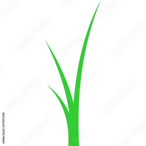Grass Illustration