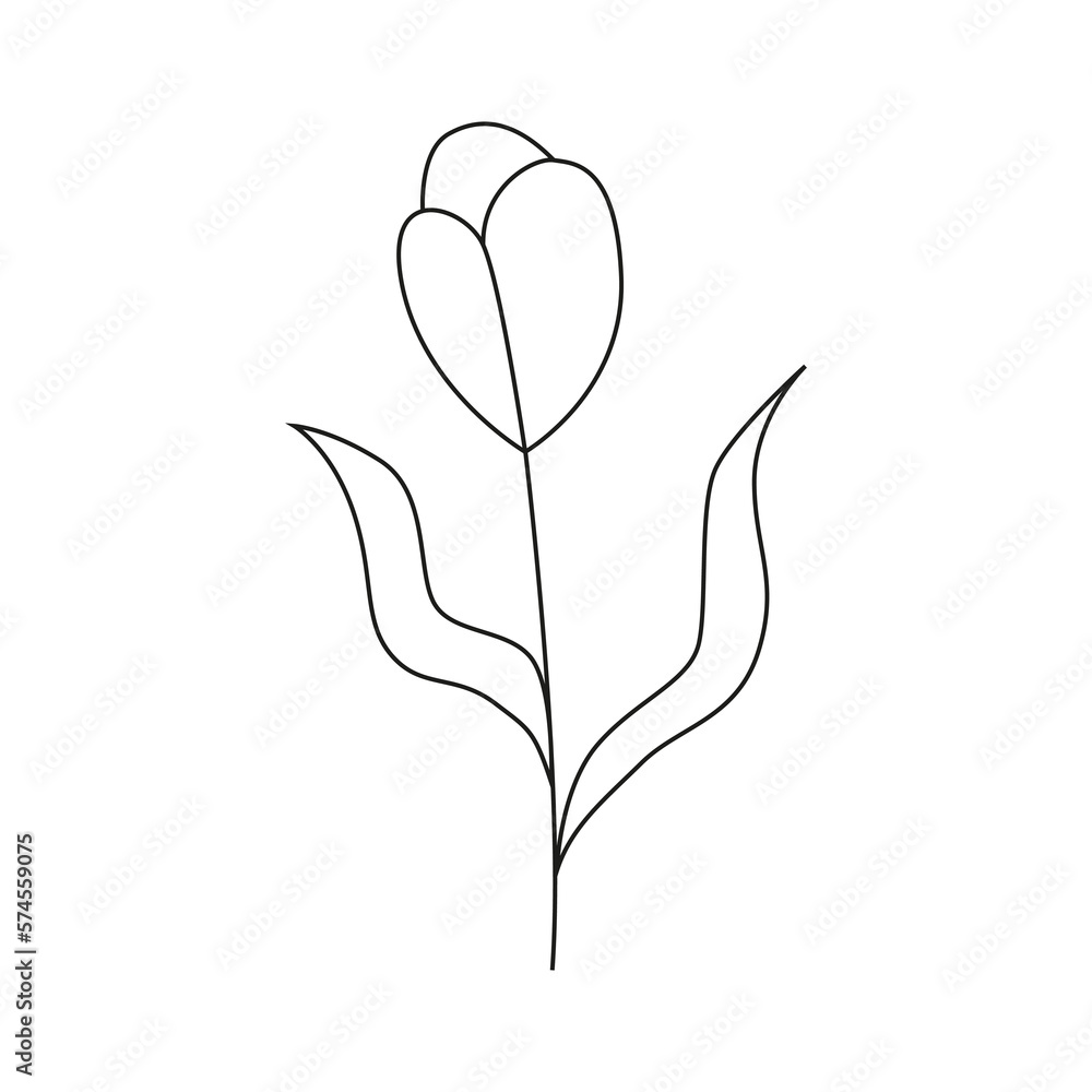 Hand drawn spring flower with leaves.