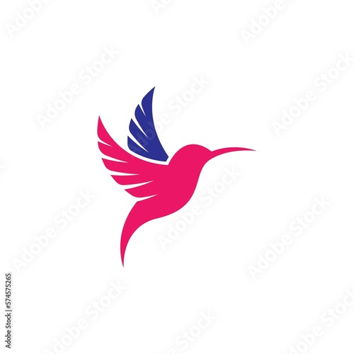 Colibri bird logo images