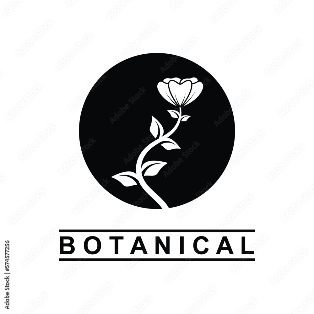 Obraz premium botanical logo illustration for beauty natural organic brand