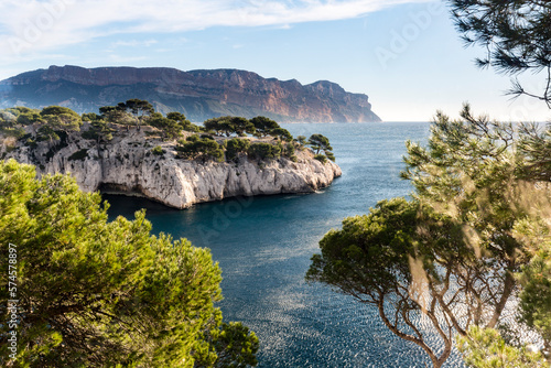 Scenic View Of Calanque And The Mediterranean Sea Framed By Pine Trees photo