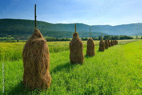 Traditional haystacks in a field at southern Slovenia photo