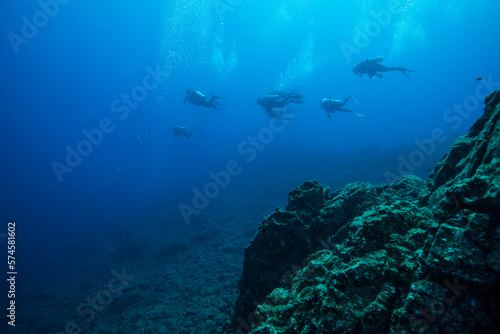 Wallpaper Mural Group of scuba divers swimming underwater, San Benedicto Island, Revillagigedo Islands, Colima, Mexico Torontodigital.ca