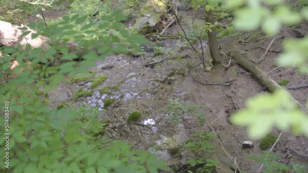 Water runoff through forest near Varbo, Hungary. High angle static view. Water runoff through forest near Varbo, Hungary. High angle static view.