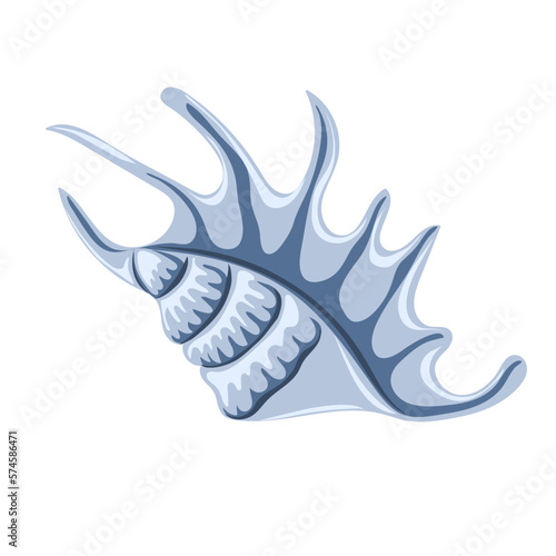 Hand drawn seashell. Shellfish. Marine dwellers. Concept of sea and ocean life. Vector illustration