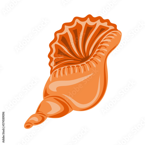 Hand drawn seashell. Shellfish. Marine dwellers. Concept of sea and ocean life. Vector illustration